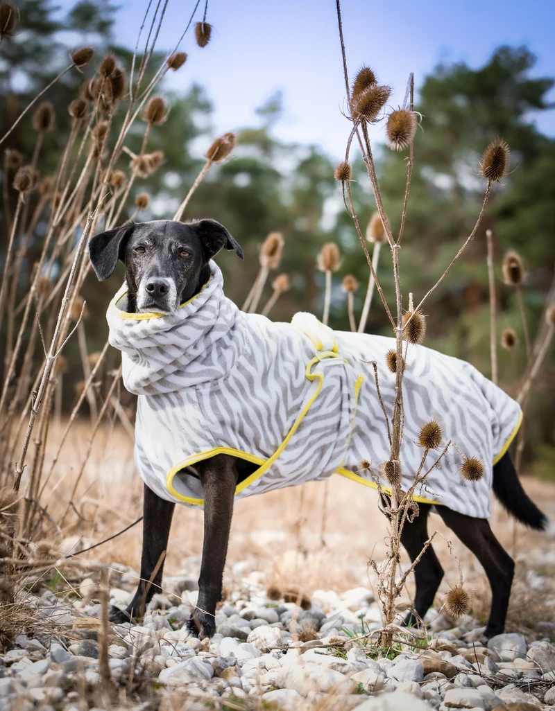 THE ZEBRA BATHROBE (HUNDEBADEMANTEL FÜR ALLE HUNDERASSEN)