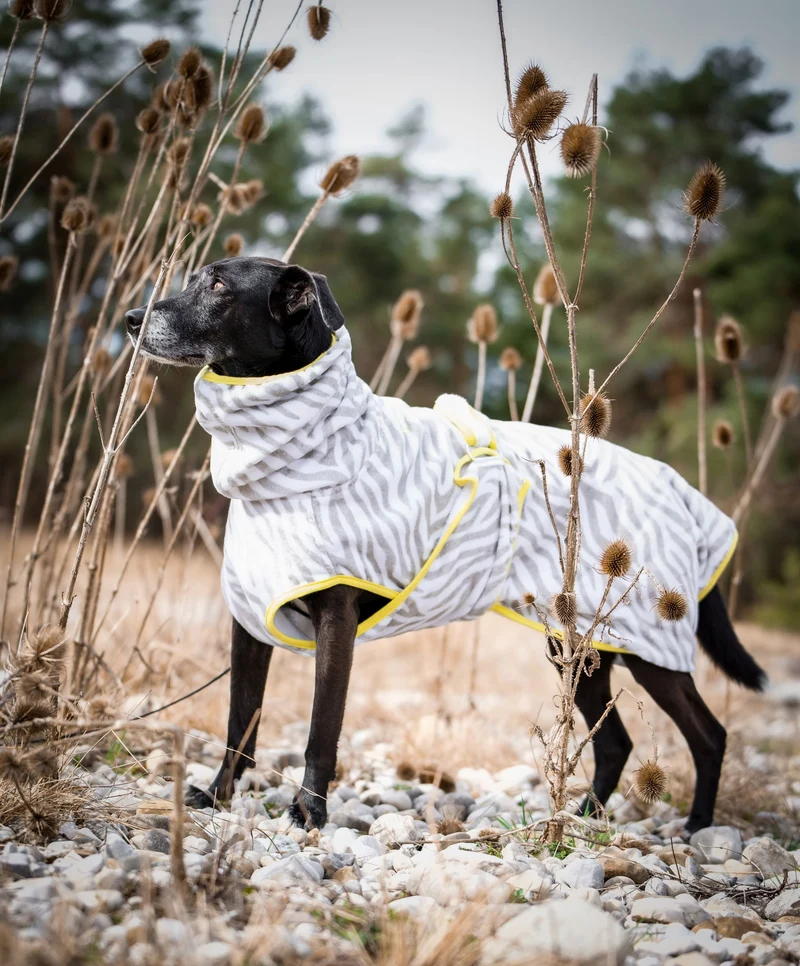 THE ZEBRA BATHROBE (HUNDEBADEMANTEL FÜR ALLE HUNDERASSEN)