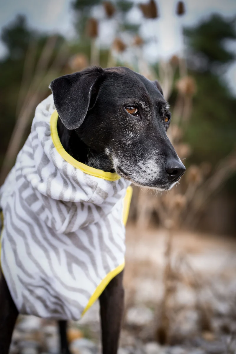 THE ZEBRA BATHROBE (HUNDEBADEMANTEL FÜR ALLE HUNDERASSEN)