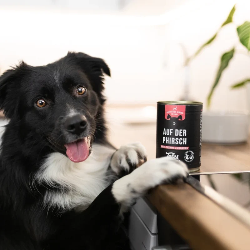 Auf der PHirsch - Nassfutter für Hunde mit 75% Hirsch