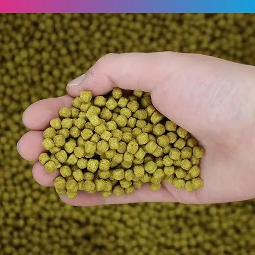 NT Labs Medikoi Health 6mm Fish Food 5KG