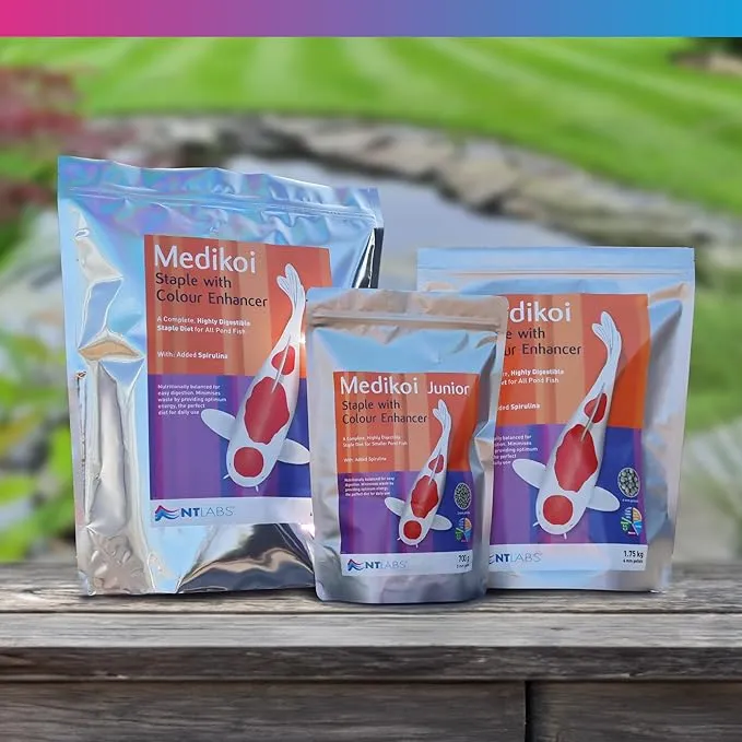 NT Labs Medikoi Staple with Colour Enhancer Fish Food