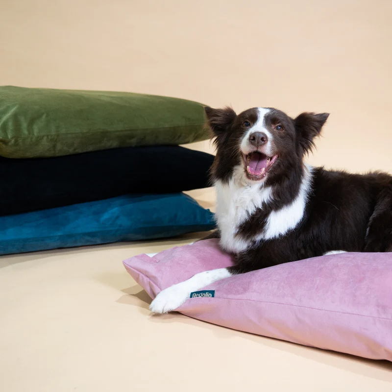 Regalia Velvet Deep Duvet Non-Slip Dog Bed - Rose/Large
