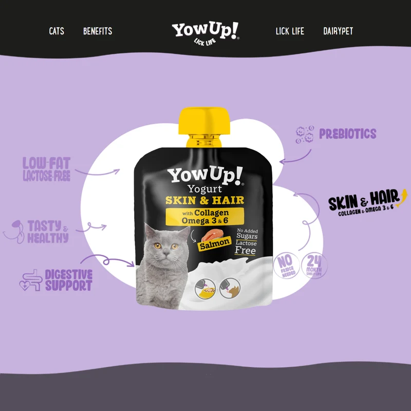 YowUp Yogurt With Prebiotics Skin & Hair Cat Wet Food Topper Salmon 85g