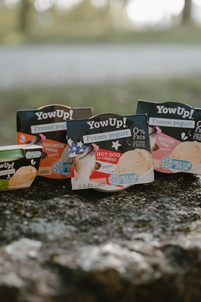 YowUp Frozen Yogurt Salmon Tartar Dog Treat 110g