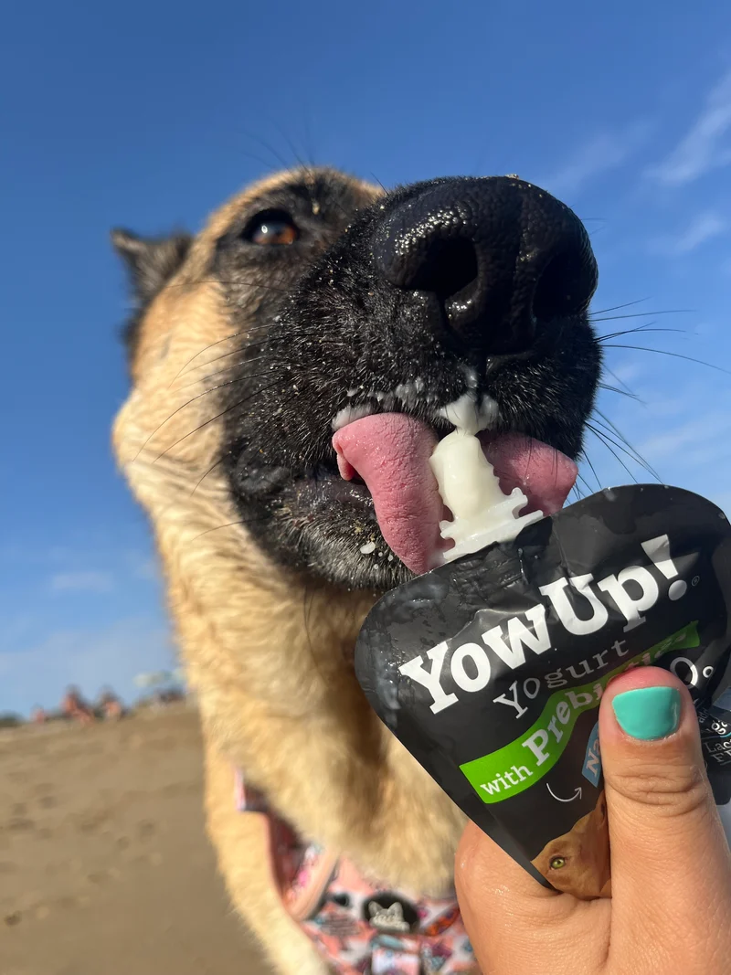YowUp Yogurt With Prebiotics Natural Dog Wet Food Topper 115g
