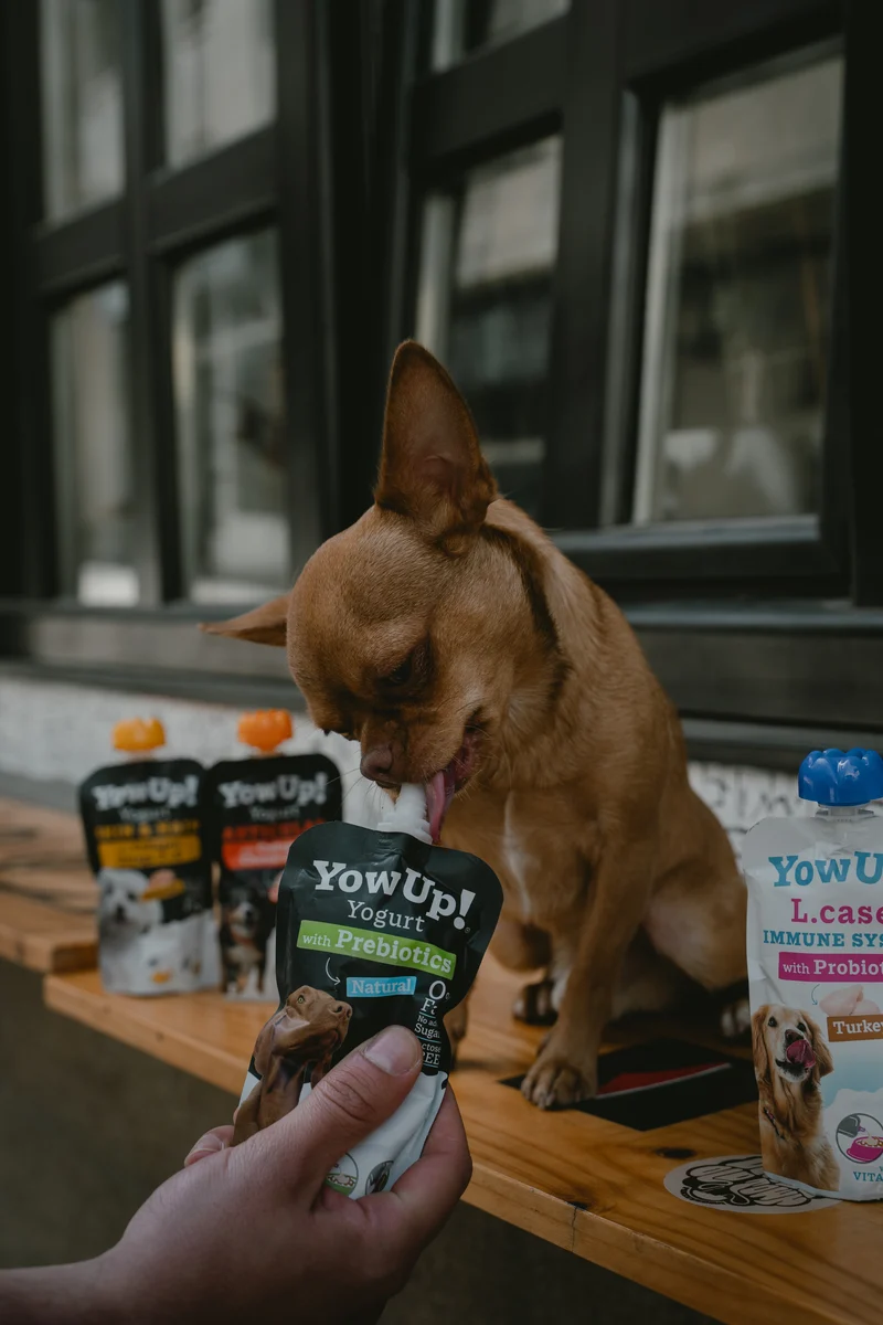 YowUp Yogurt With Prebiotics Natural Dog Wet Food Topper 115g
