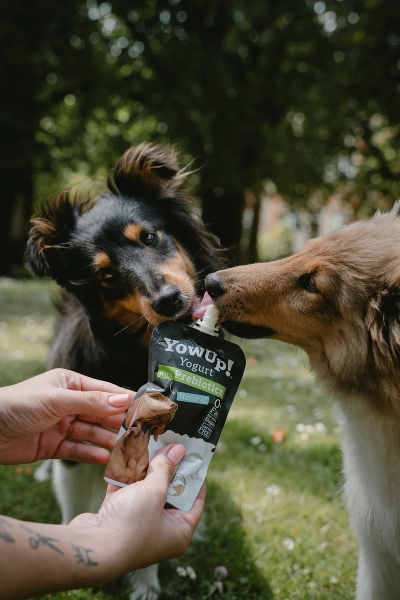 YowUp Yogurt With Prebiotics Natural Dog Wet Food Topper 115g