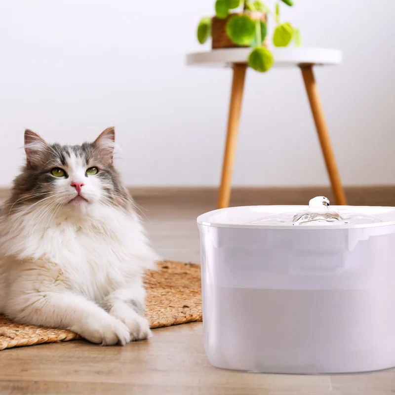 Petoneer WF007 Fresco EzPro Smart Cat Water Fountain W/ WiFi & UV-C Sterilization 2L