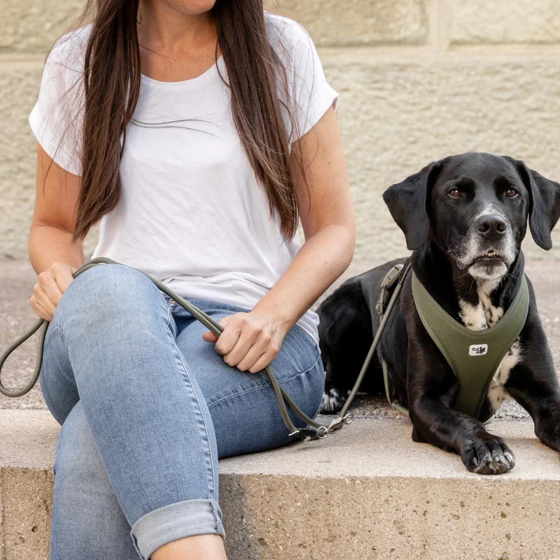 Curli Vario Comfort Dog Leash With Shock Absorbing Rope