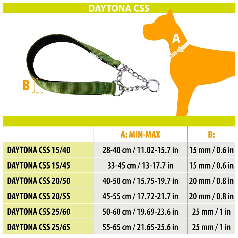 DAYTONA CSS