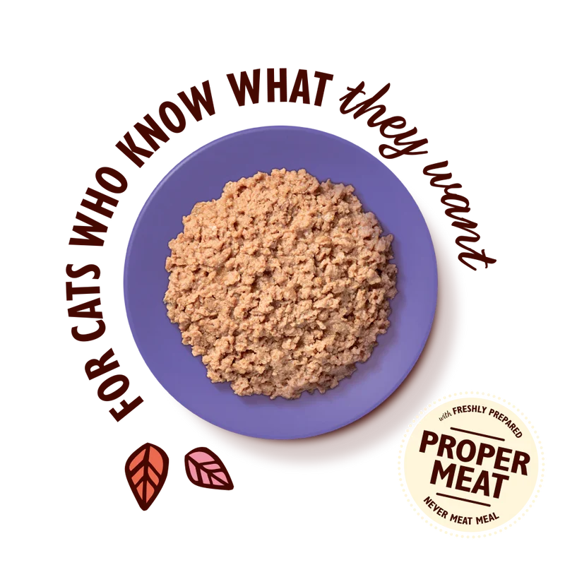 Lily's Kitchen Chicken Pate for Mature Cats Wet Food