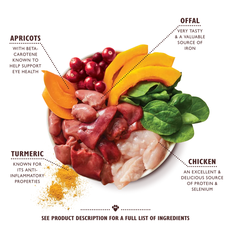 Lily's Kitchen Coronation Chicken Wet Dog Food