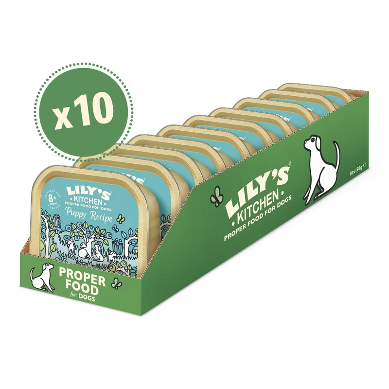 Lily's Kitchen Turkey & Duck Recipe Puppy Wet Food