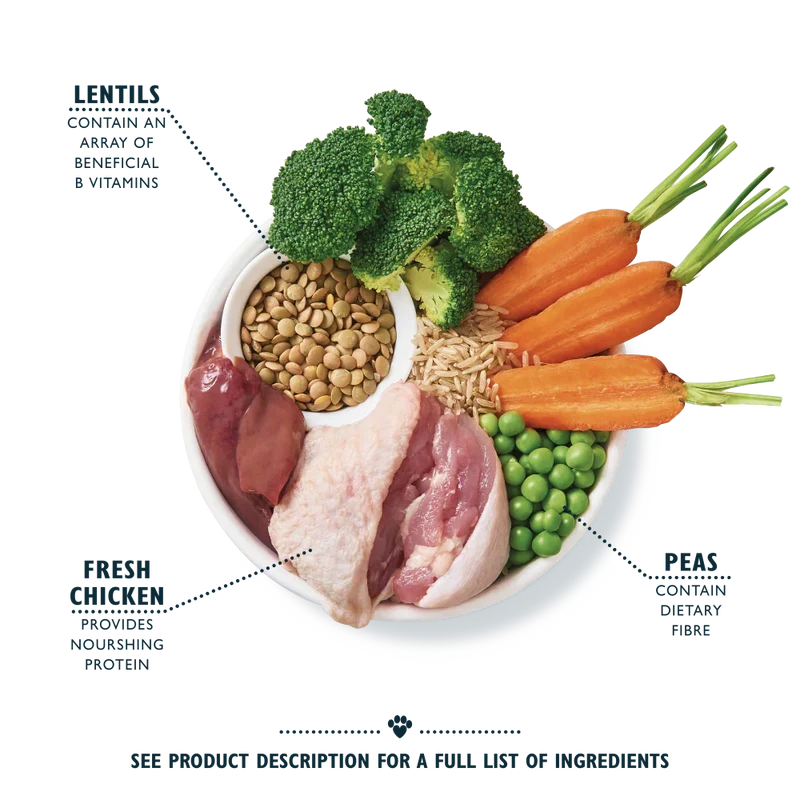 Lily's Kitchen Organic Chicken Bake with Vegetable & Herb Adult Dry Dog Food