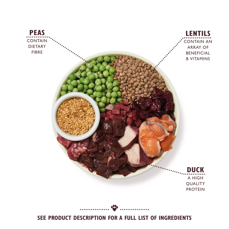 Lily's Kitchen Wild Woodland Walk With Duck, Salmon & Venison Adult Dry Dog Food