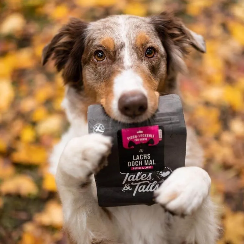 Tales & Tails Lachs doch mal – Trainingsleckerli 100 % Lachs für Hunde