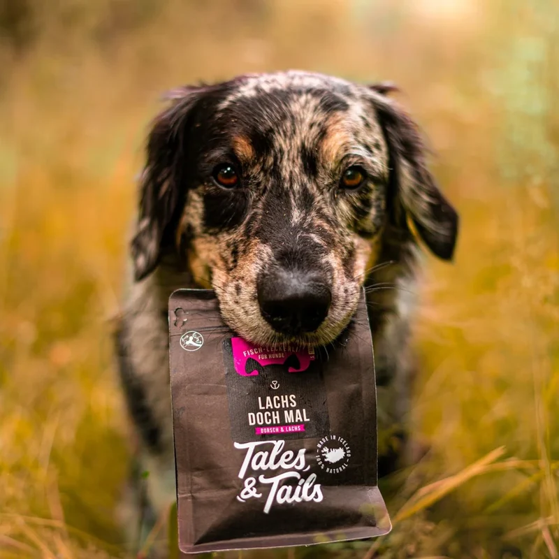 Tales & Tails Lachs doch mal – Trainingsleckerli 100 % Lachs für Hunde