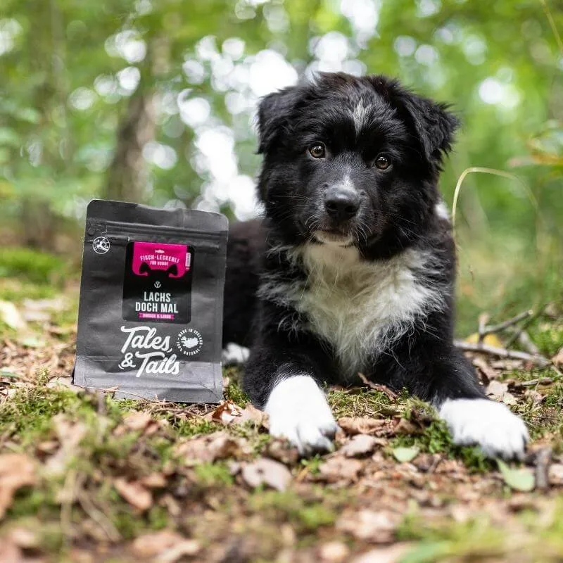 Tales & Tails Lachs doch mal – Trainingsleckerli 100 % Lachs für Hunde