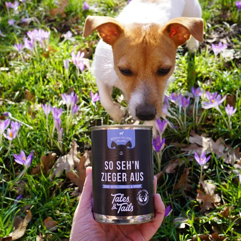 Tales & Tails So seh’n Zieger aus – Nassfutter Ziege für Hunde