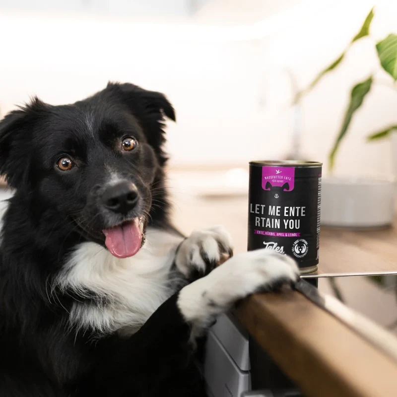 Let me ENTErtain you - Nassfutter für Hunde mit 75% Ente
