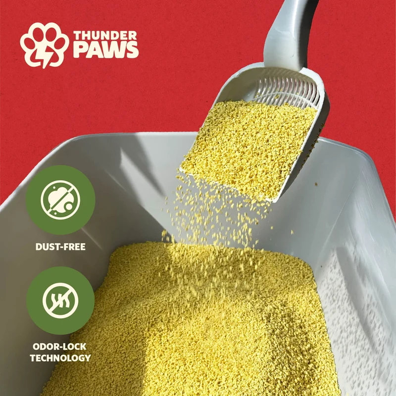 Thunder Paws Eco-Comfort Millet Unscented Clumping Cat Litter - 2.5KG