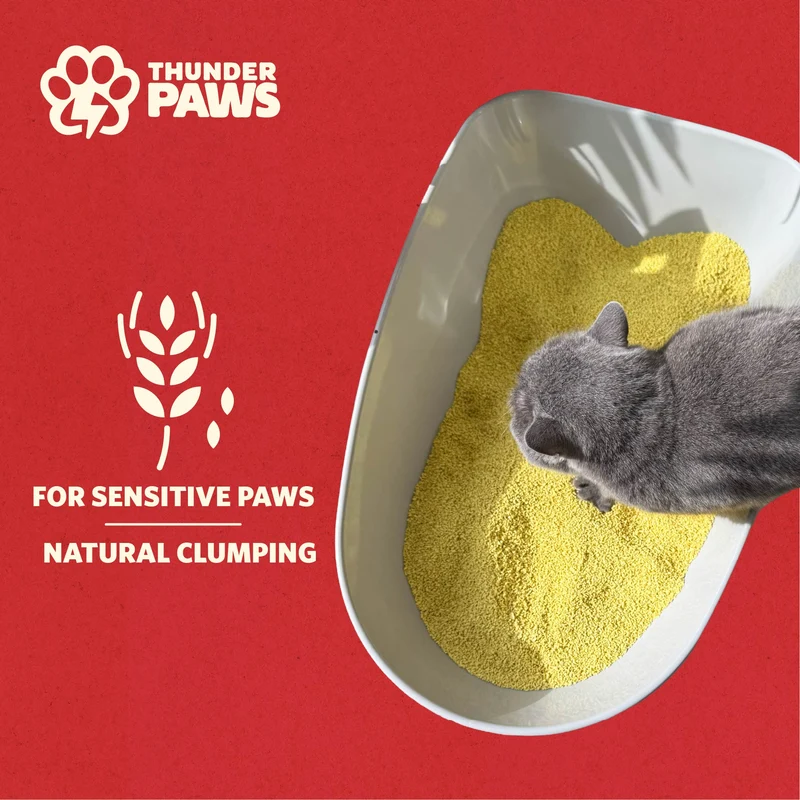 Thunder Paws Eco-Comfort Millet Unscented Clumping Cat Litter - 2.5KG