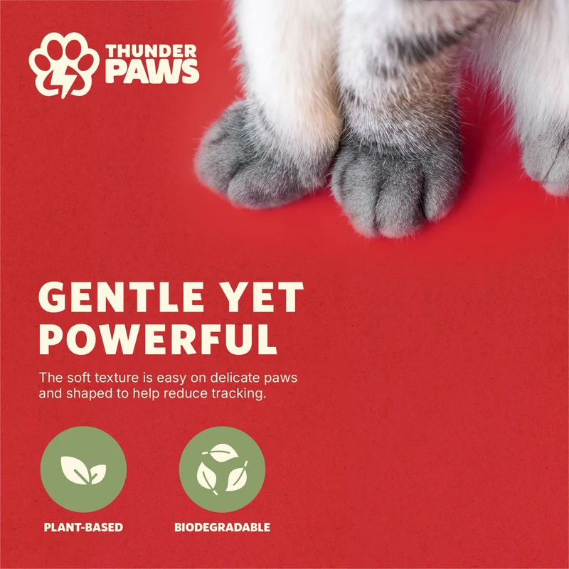 Thunder Paws Eco-Fresh Crushed Tofu Unscented Fast Clumping Cat Litter - 2.4KG