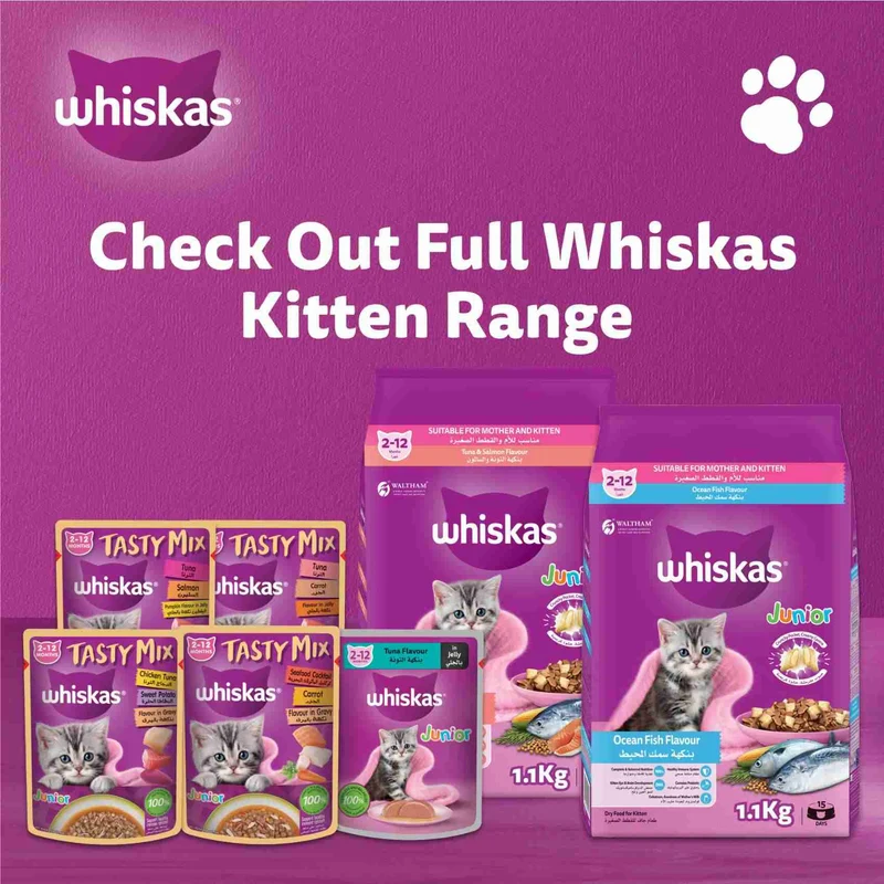 Whiskas Junior Tuna & Salmon Mother & Kitten 2-12M Dry Cat Food 1.2KG