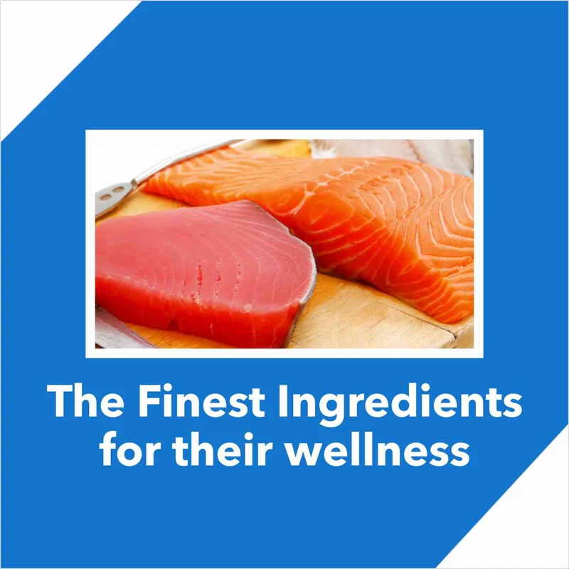 Drools Complete Nutrition Tuna & Salmon Adult Dry Cat Food 7Kg