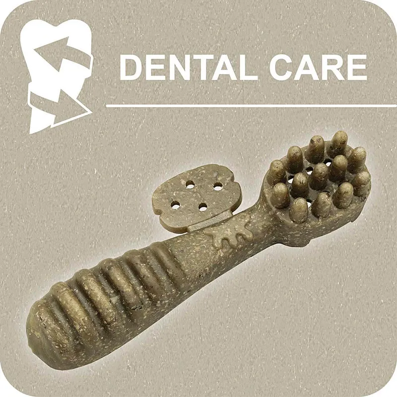 100% SNACK BEFÜLLBAR - TOOTHBRUSH ASCOPHILLUM