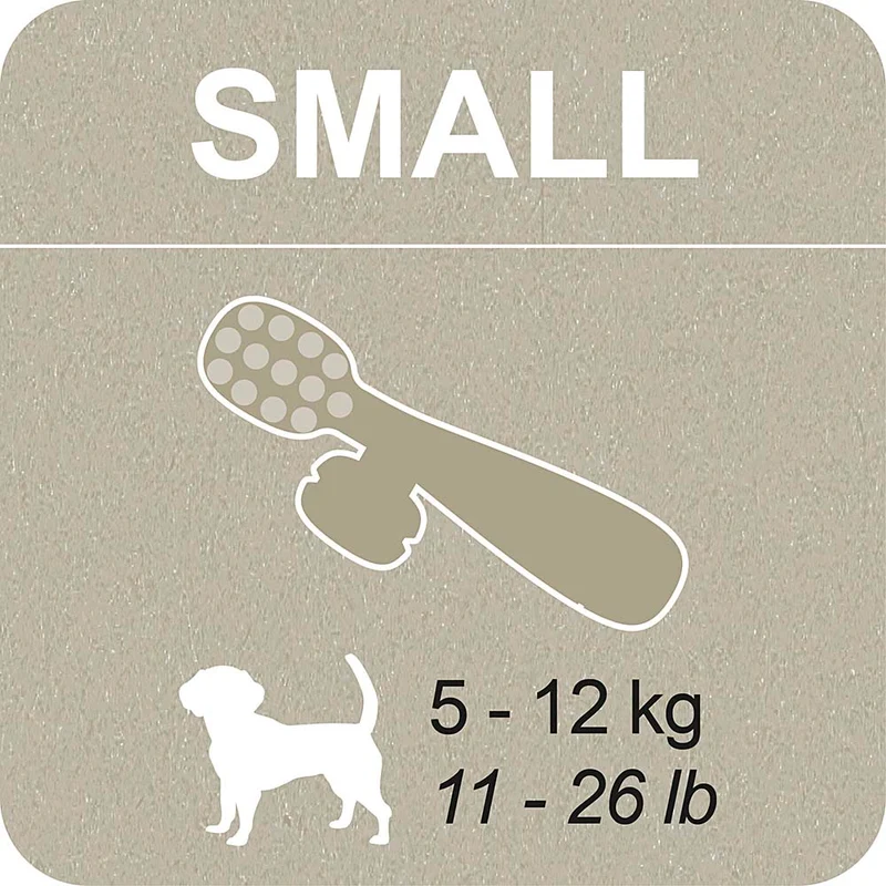 100% SNACK BEFÜLLBAR - TOOTHBRUSH ASCOPHILLUM