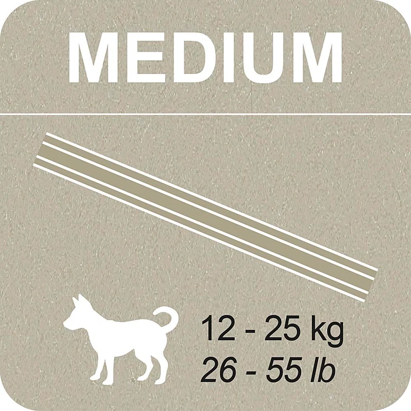 100% SNACK STICKS - SNOWFLAKE MELISSA