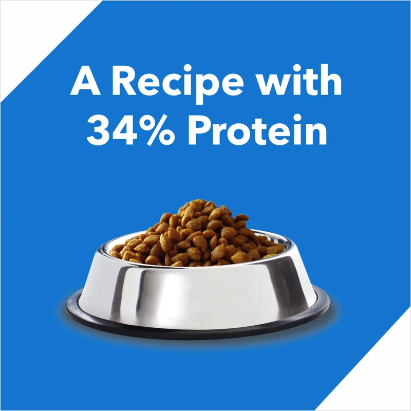 Drools Kitten Nutrition Ocean Fish Kitten Dry Food 1.2Kg