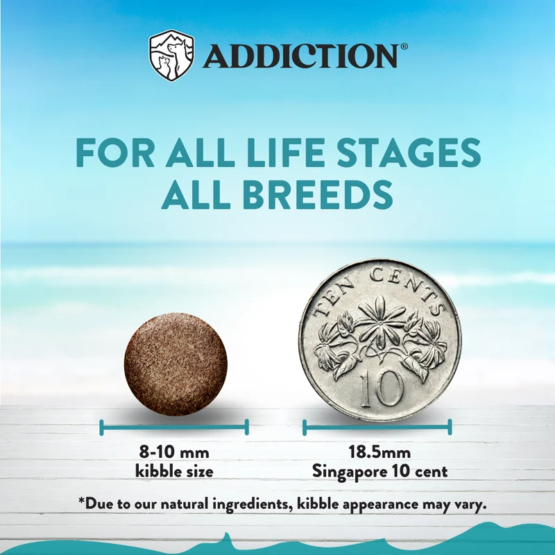 Addiction Salmon Bleu Skin & Coat Dry Puppy Food 1.8KG