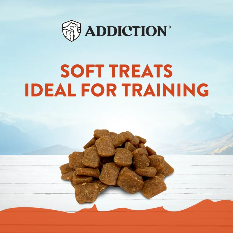 Addiction Venison Meaty Bites Limited Ingredients Grain-Free Dog Treats 4OZ