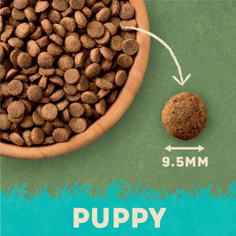 Harringtons Complete Puppy Turkey & Rice Dry Food