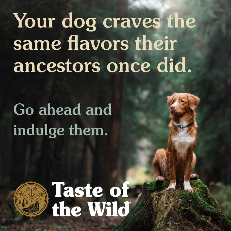 Taste of the Wild Southwest Canyon Canine Formula Dry Dog Food