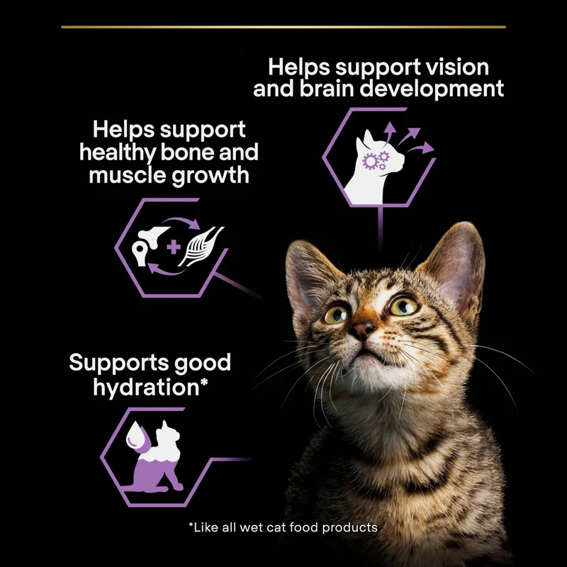 Purina Pro Plan Kitten Turkey in Gravy Wet Cat Food