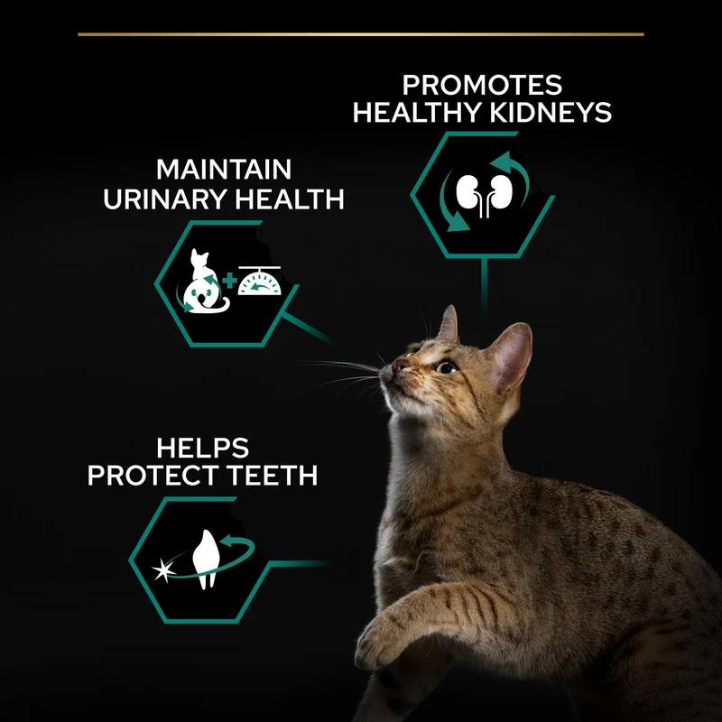 PURINA Pro Plan Sterilised Optirenal Adult Dry Cat Food With Turkey