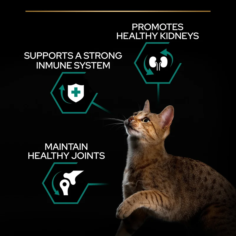PURINA Pro Plan Adult Renal Plus Chicken Dry Cat Food