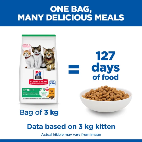 Hill's Science Plan Kitten Dry Cat Food With Chicken