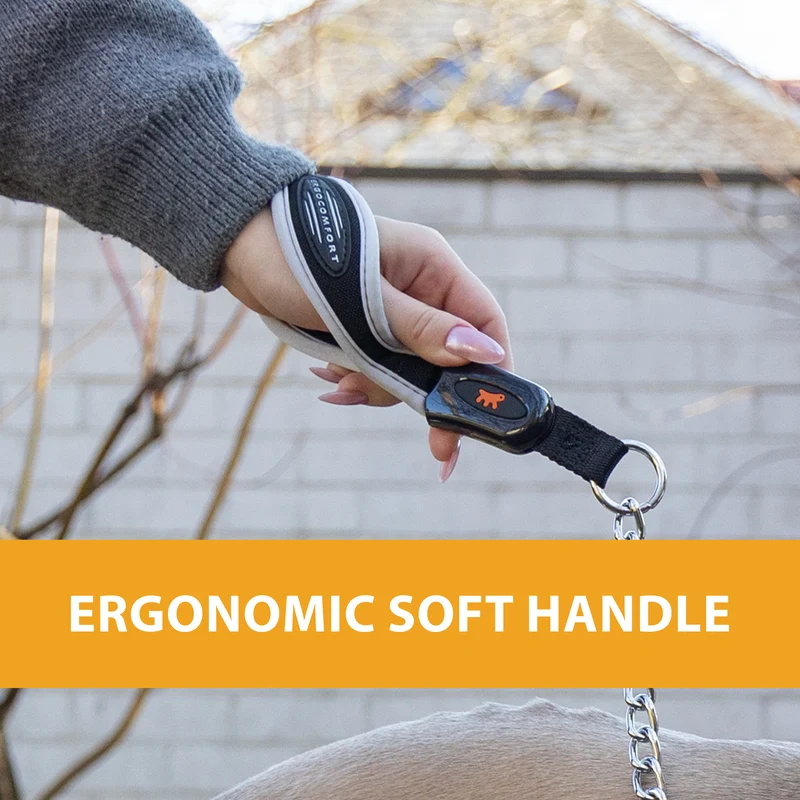 ERGOCOMFORT METAL GM