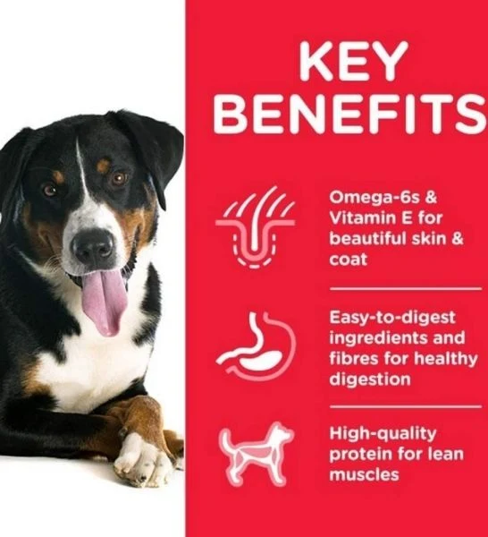 Hill's Science Plan Medium Adult Dog Food