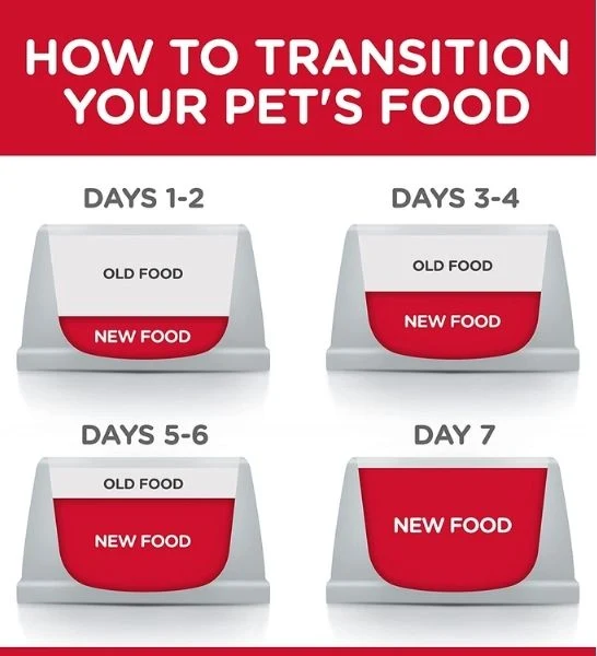 Hill's Science Plan Medium Adult Dog Food