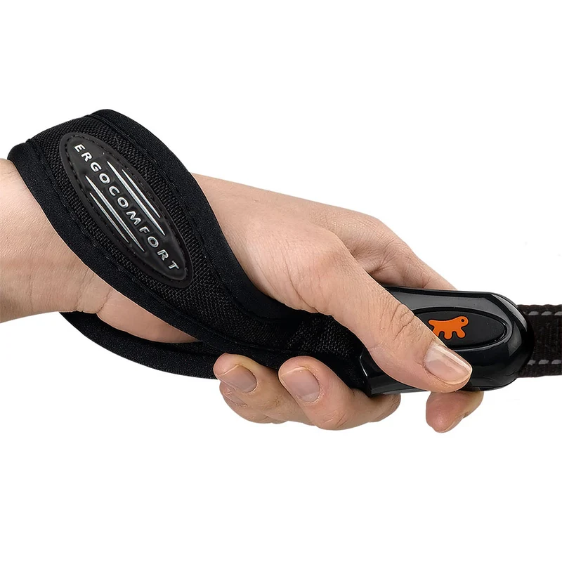 ERGOLED G