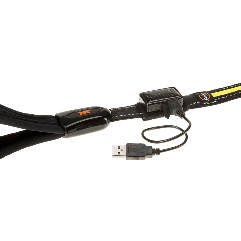 ERGOLED G