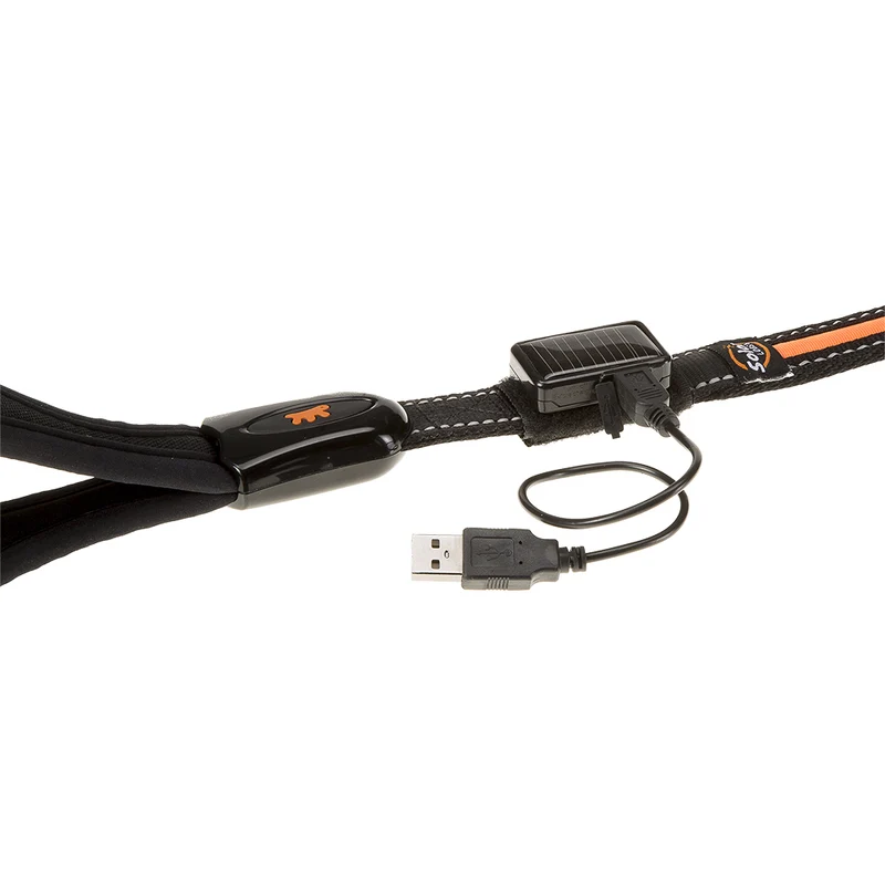ERGOLED G