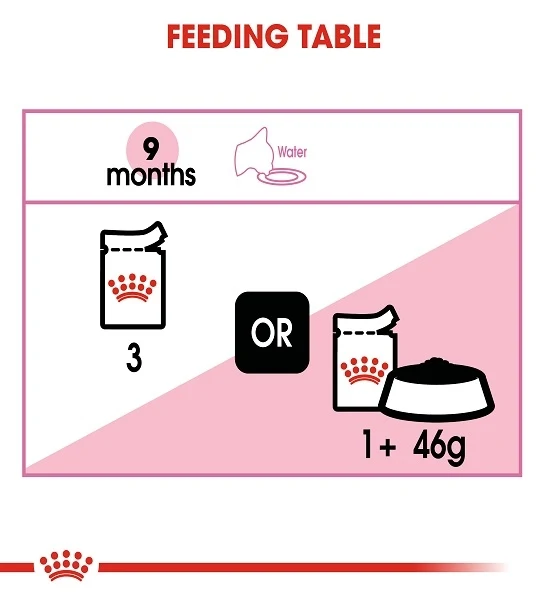 Royal Canin Kitten Sterilised in Gravy Wet Food