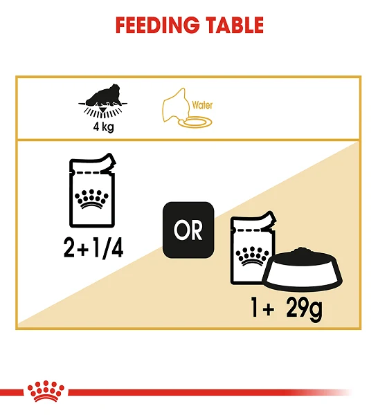 Royal Canin Persian Adult Wet Cat Food
